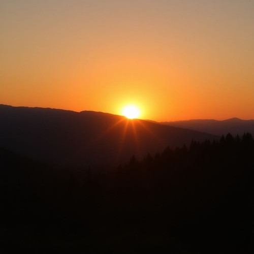 8aa01ab53f8b.jpg