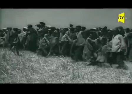 GpuZea eKZ9p6Oac.jpg