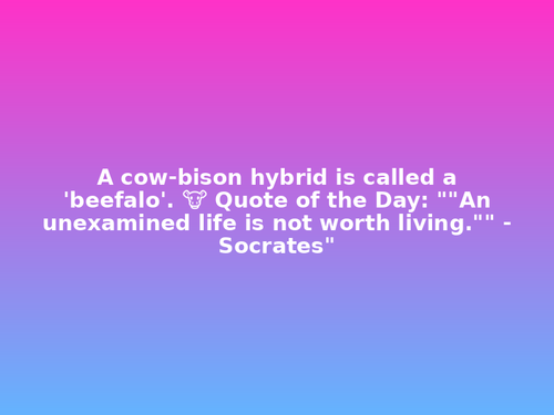 quote.png