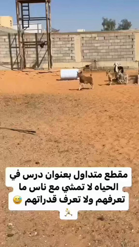 qti94QfgWQ79YKMh.jpg