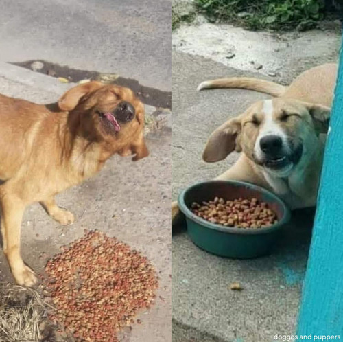 G2BGgbEWkAA3kfK.jpg
