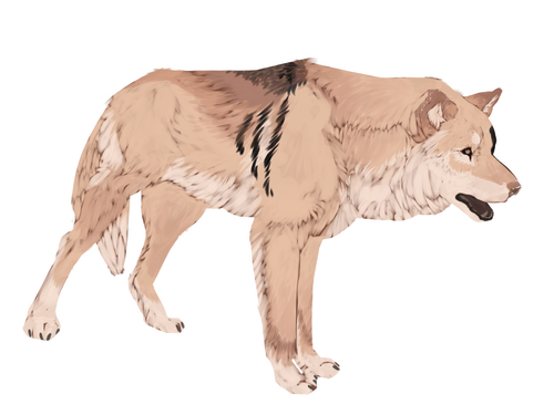 Untitled799 20250929182218.png