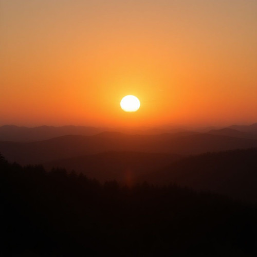 d6f8033a6430.jpg