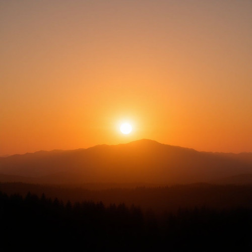 b88255cc2c6b.jpg