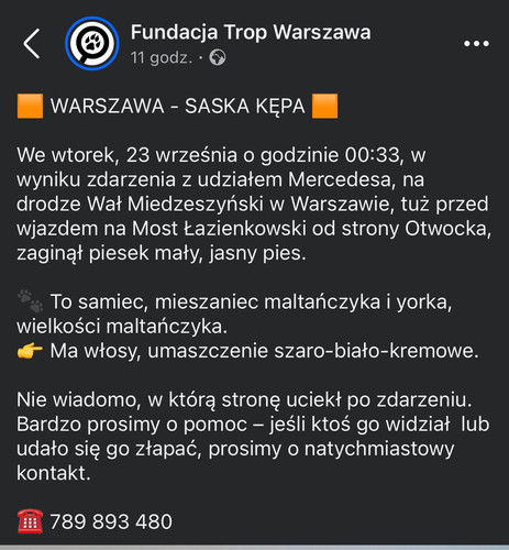 G19WMVwXIAAyvGR.jpg