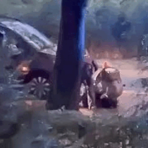 merged (3) (12).gif
