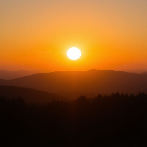 e6970d6e50db.jpg