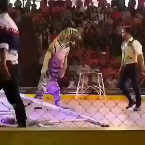 OUO715WgqMdDBxOX.jpg
