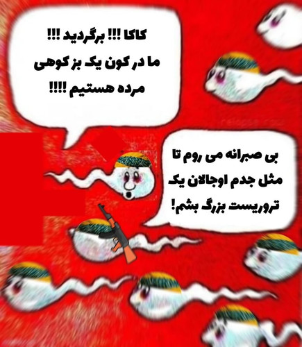 G12iHy WcAAhQIS.jpg