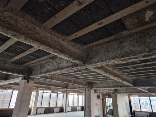 Professional Asbestos R&D Survey for Full Compliance.jpg