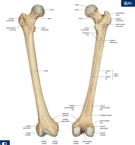 63fbcf07bd37.png