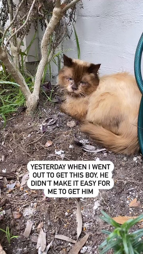 zjtKMtrqf9gIT10t.jpg