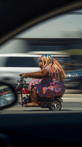 ZM eUjN twdtSxTS.jpg