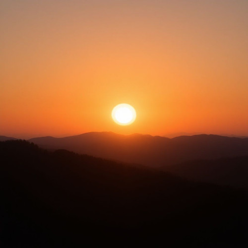 ab09e0a9b98c.jpg