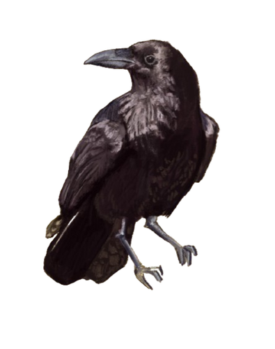 image 2025 09 30 100142589.png