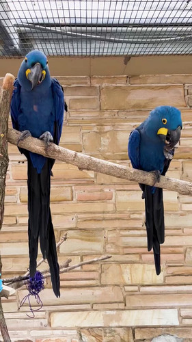 d DbZCOiK0 btlEv.jpg