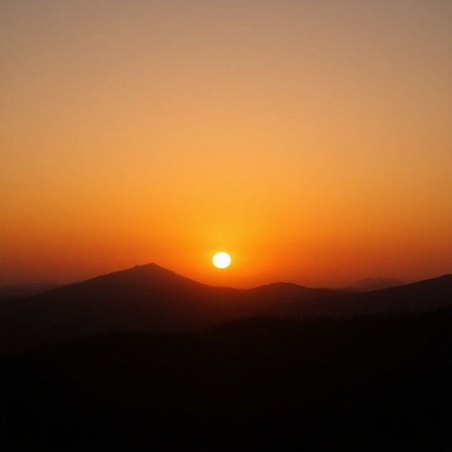 bc53b87554c8.jpg