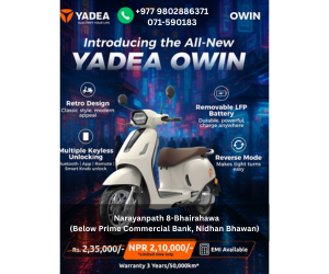 in article banner (1).png