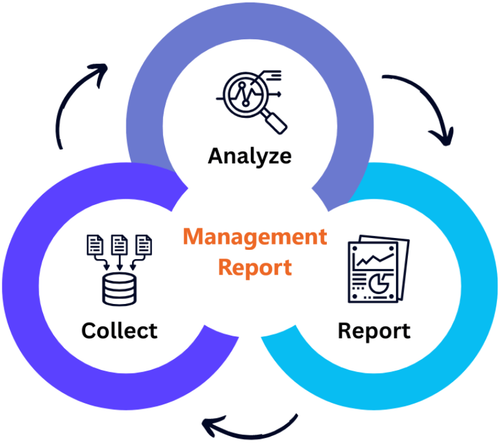 ManagementReport Icon.png