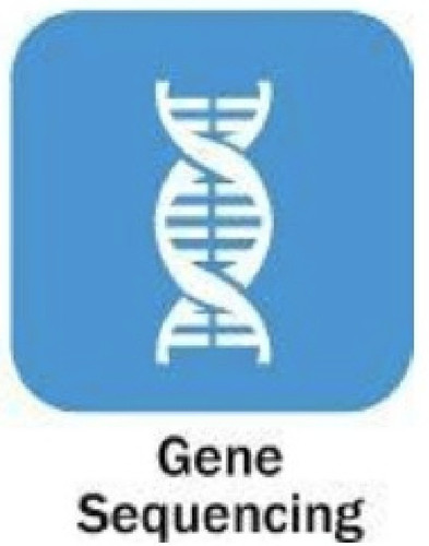 WhatsApp Image 2025 09 30 at 09.45.41.jpg