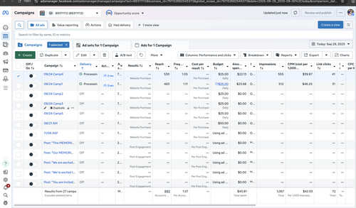 Screenshot 2025 09 30 at 8.39.54 AM.png