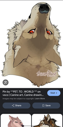 Screenshot 20250925 203745 Google.jpg