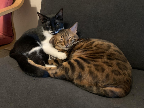 556036988 10234360783294809 770662958050374829 n.jpg