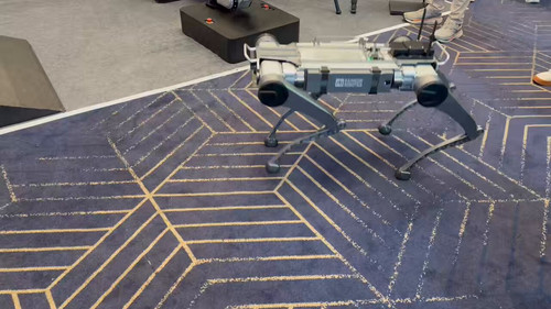 WWAzELNo4PWFq7 R.jpg