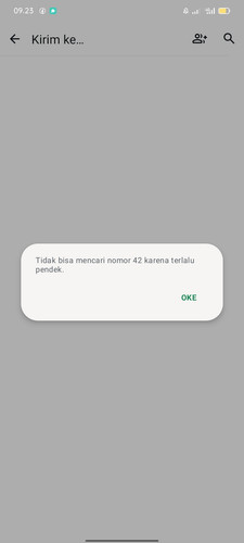 0950752500258070 DIANA.jpg