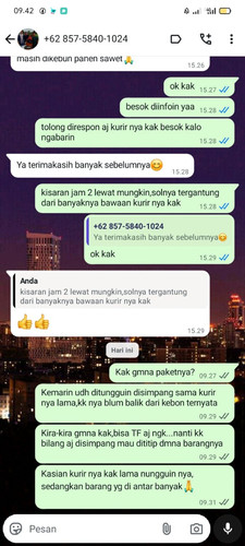 0137812502209293 SHINTA KUSMALA YS.jpg