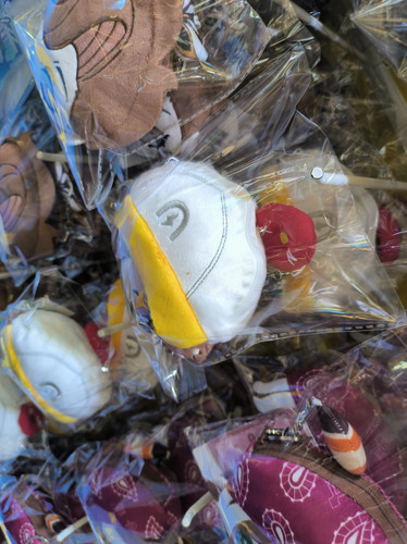 IMG 20250930 113839.jpg