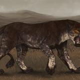 Screenshot 2025 09 29 11.11.07 PM.png