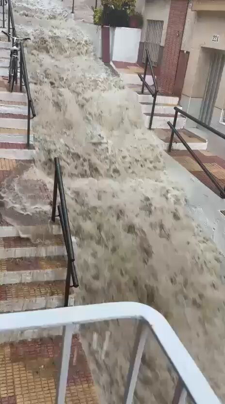 GRpMV0Sg RikiZ K.jpg