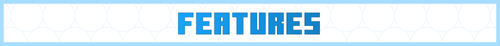 features.png