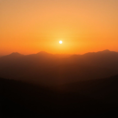 92559cb1b3a8.jpg