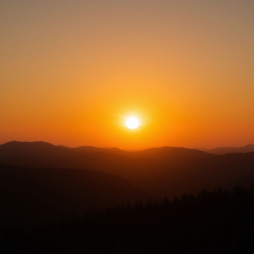 3608928198be.jpg