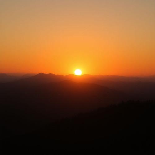 6b38c6f69550.jpg
