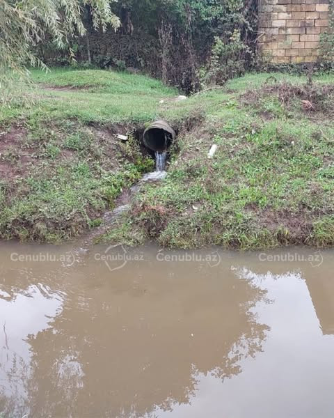 557659375 1724542508346385 7596542847154986119 n.jpg?stp=dst jpg s600x600 tt6& nc cat=109&ccb=1 7& n.jpg