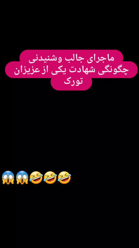 LtamK Ll4znARWam.jpg