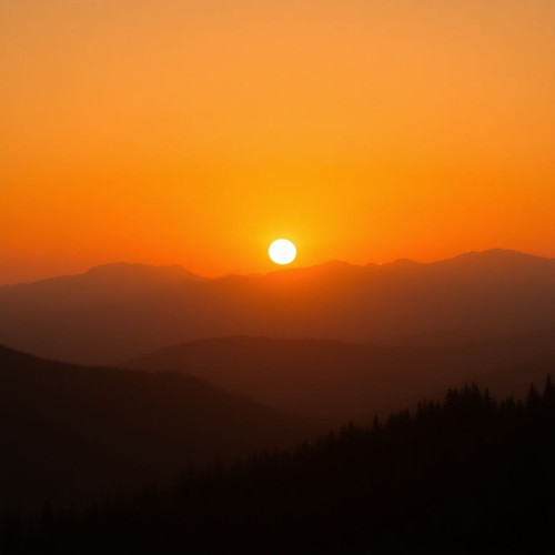 a698b70a112a.jpg