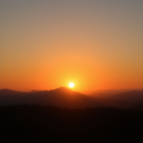 37b3c4500f68.jpg