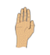 hands.png