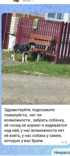 G18ibPpWIAAb 4u?format=jpg.jpg