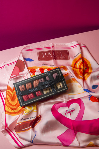 PAUL PINK HOPE SCARF & RED FRUITS MACARON (1).jpg