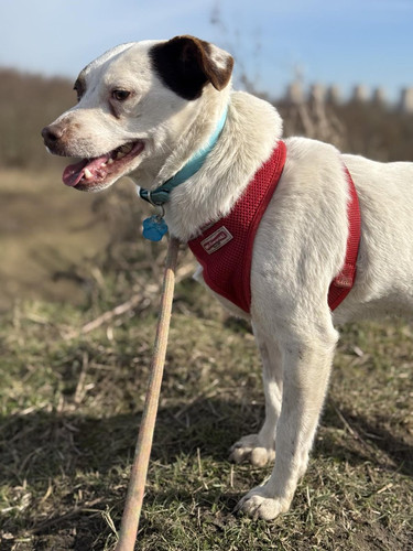 Gv1u cNWgAAkCoF?format=jpg.jpg