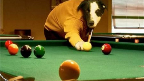 billiard meme.jpg