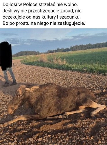 G2CGB6dXEAAyqTK.jpg