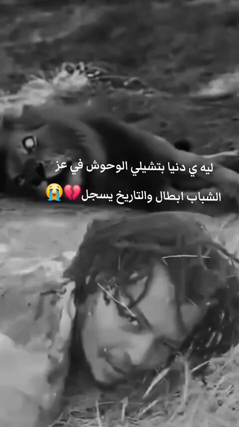 p tPNhXLqSX1pqHd.jpg