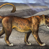 Screenshot 2025 09 29 11.57.41 PM.png