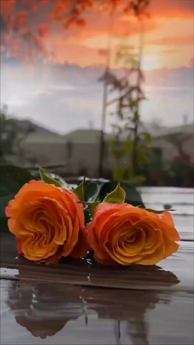 9c5Ho kIV65Sp5da.jpg